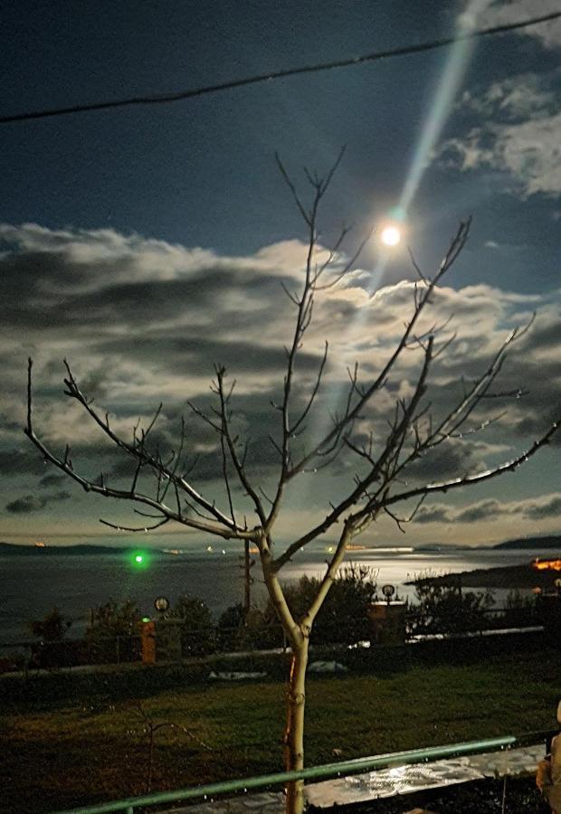 Mordogan Tas Konakta Doga Ve Deniz Tatili Villa Karaburun  Exterior photo